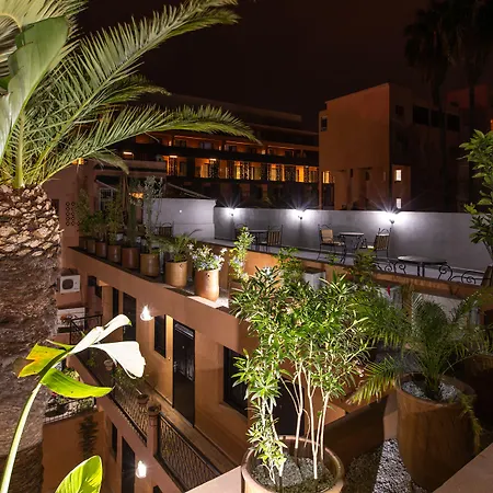 Hotel Toulousain-2